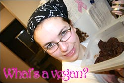 what's a vegan?